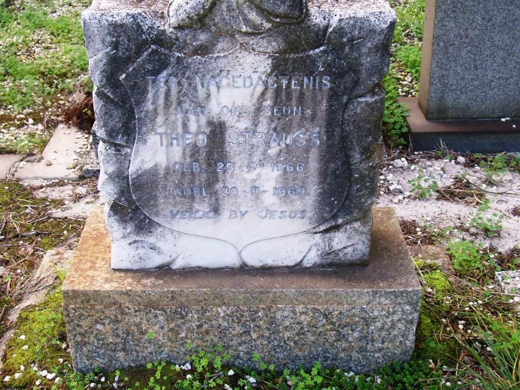 STRAUSS Theo 1966-1969