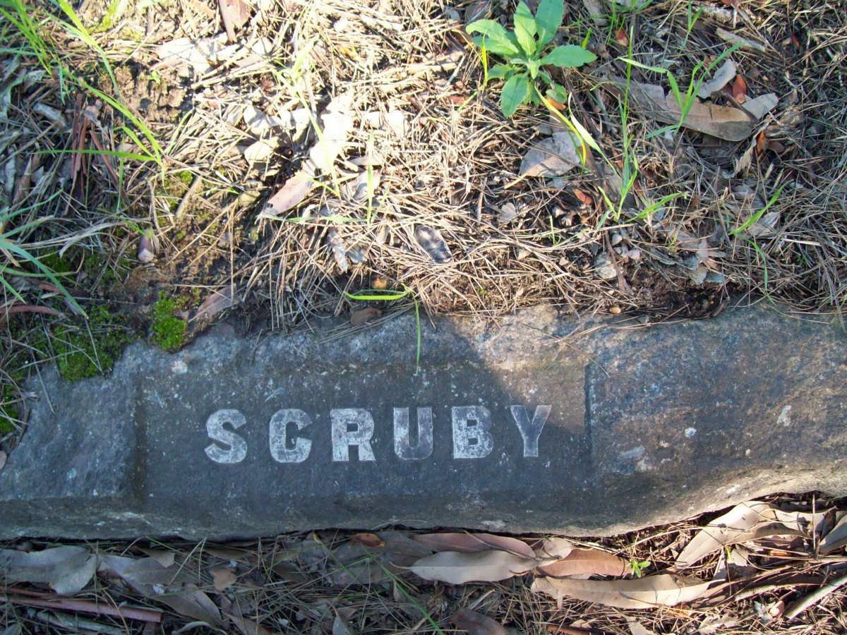 SCRUBY