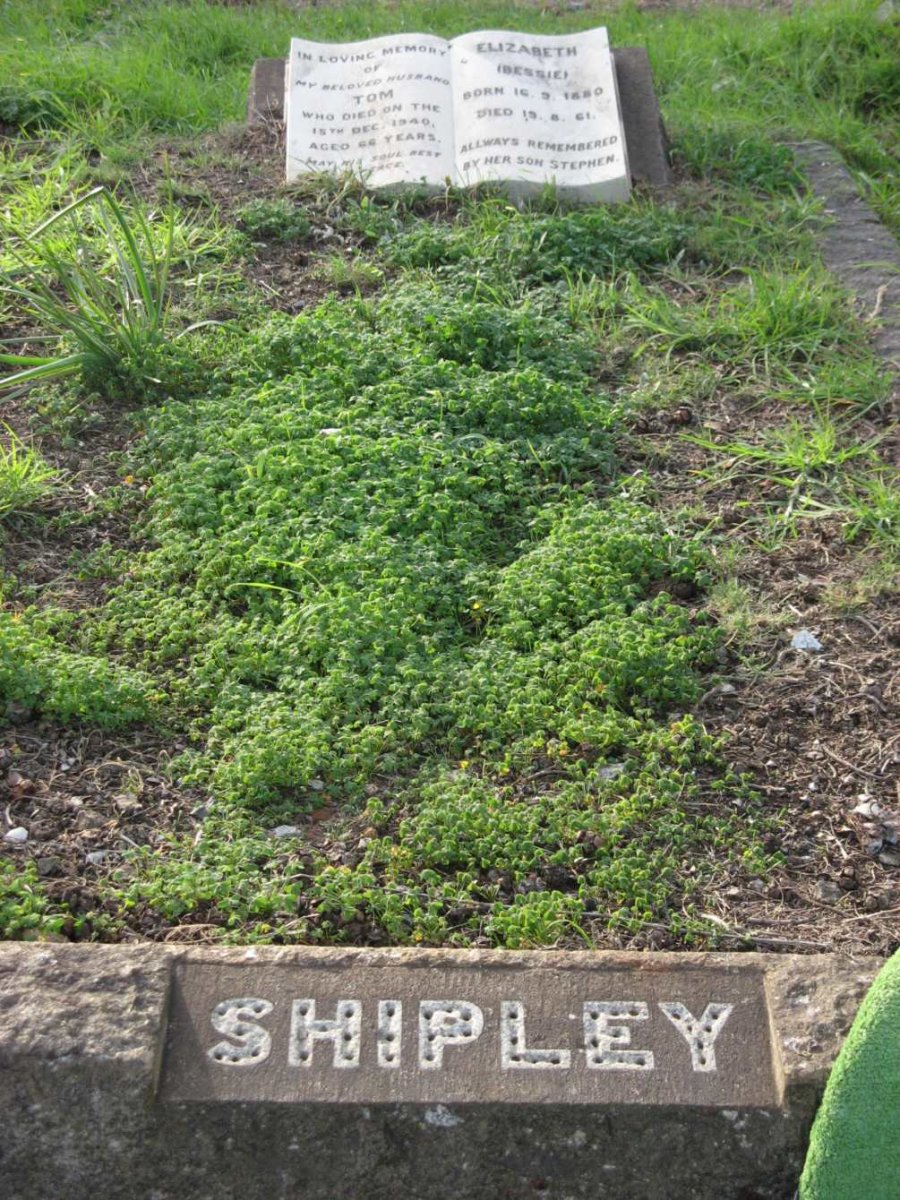 SHIPLEY Tom -1940 &amp; Elizabeth 1880-1961