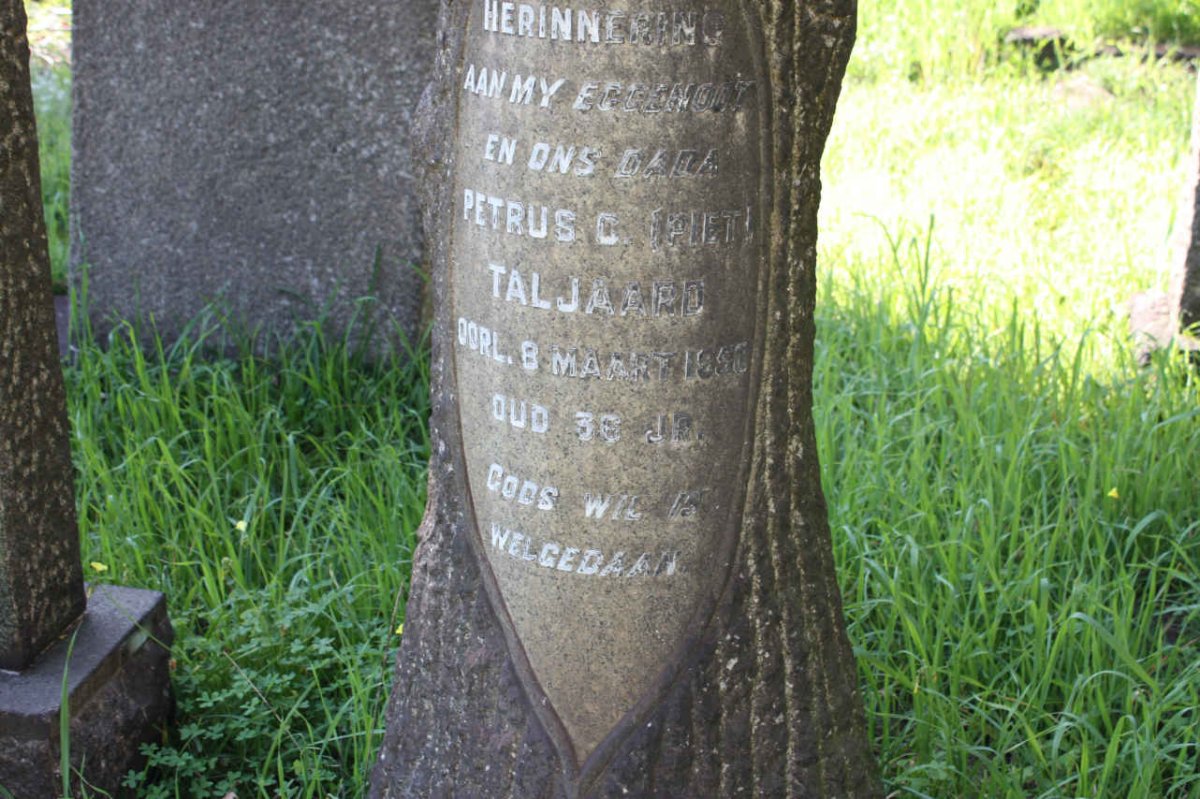 TALJAARD Petrus C. -1950