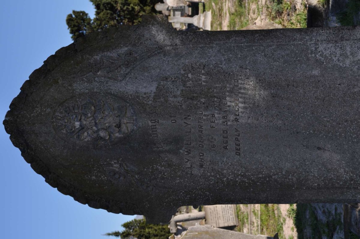 THOMAS Llywellyn -1912