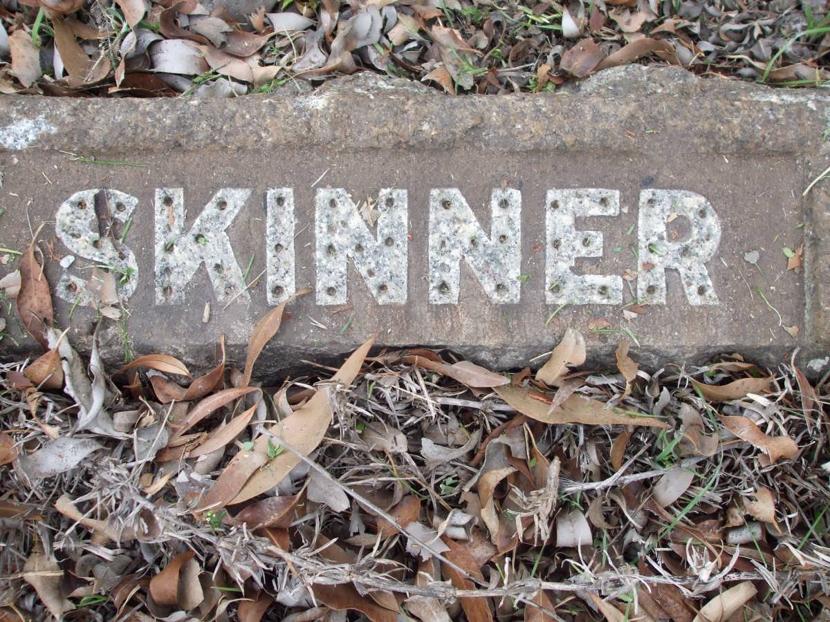 SKINNER