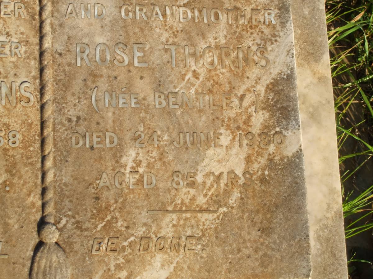 THORNS Rose BENTLEY -1980