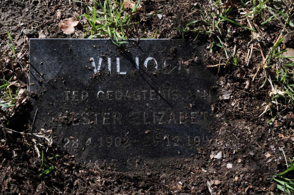 VILJOEN Hester Elizabeth 1902-199?