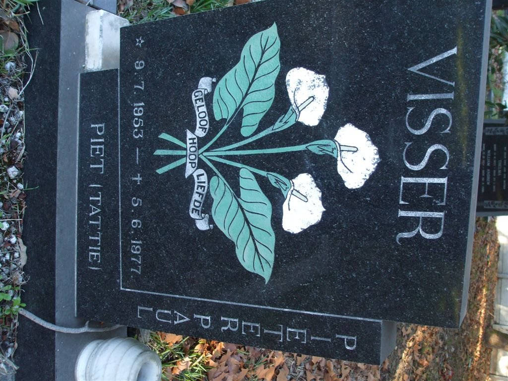 VISSER Pieter Paul 1953-1977