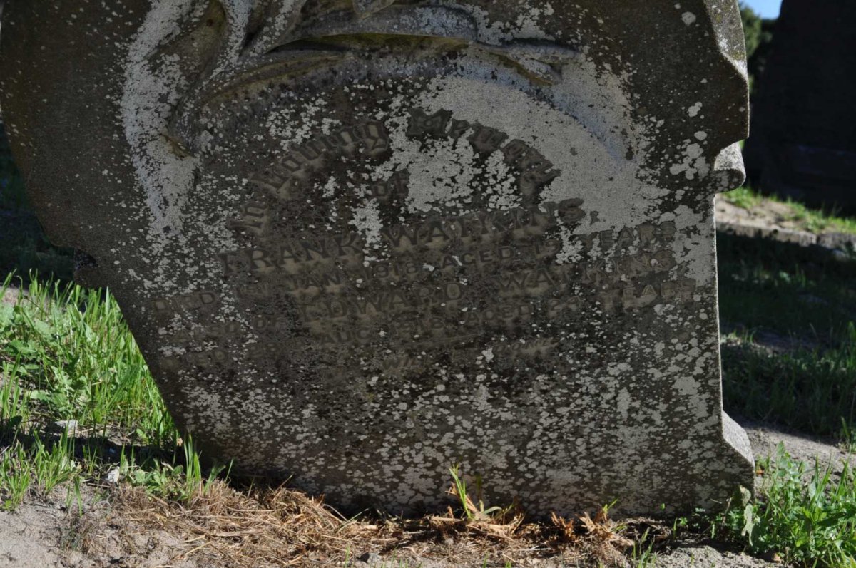 WATKINS Frank -1918 :: WATKINS Edward -1918