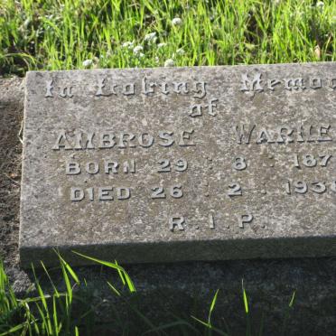 WARNER Ambrose 1877-1938