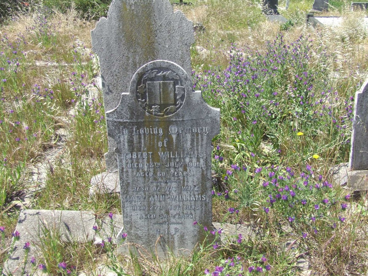 WILLIAMS Robert -1901 &amp; Mary Ann -190?