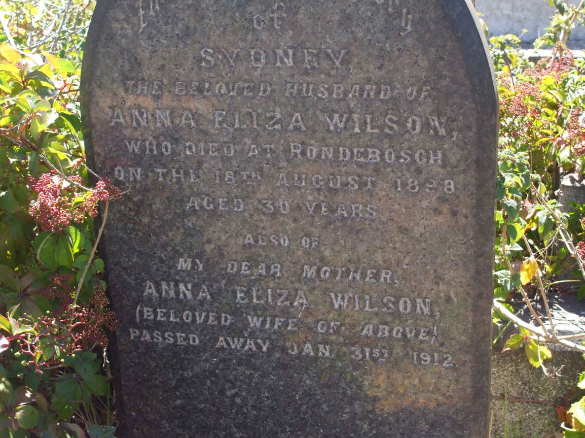WILSON Sydney -1898 &amp; Anna Eliza -1912