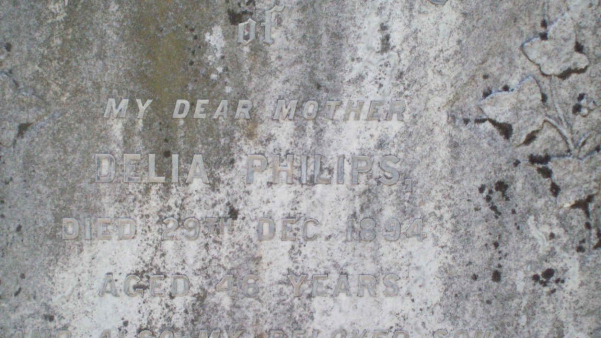 PHILIPS Delia -1894 