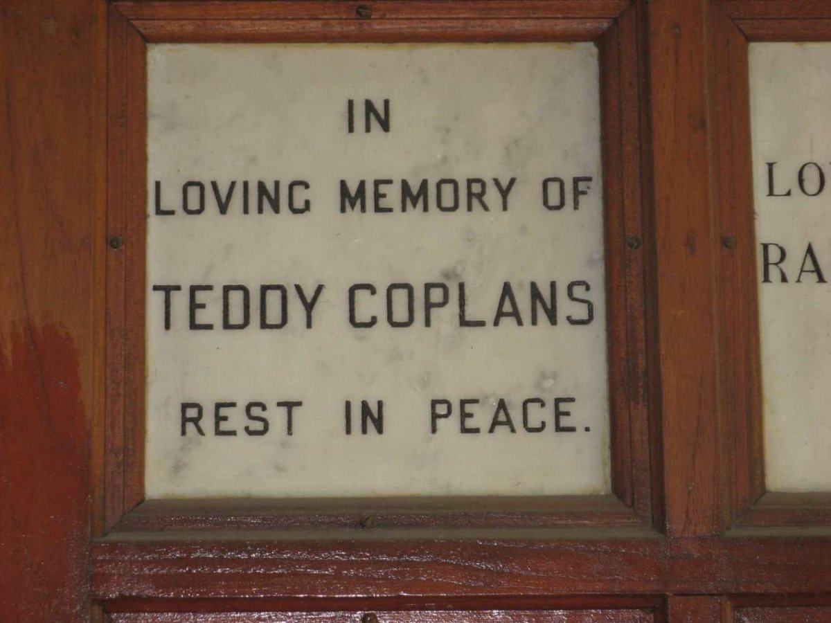COPLANS Teddy