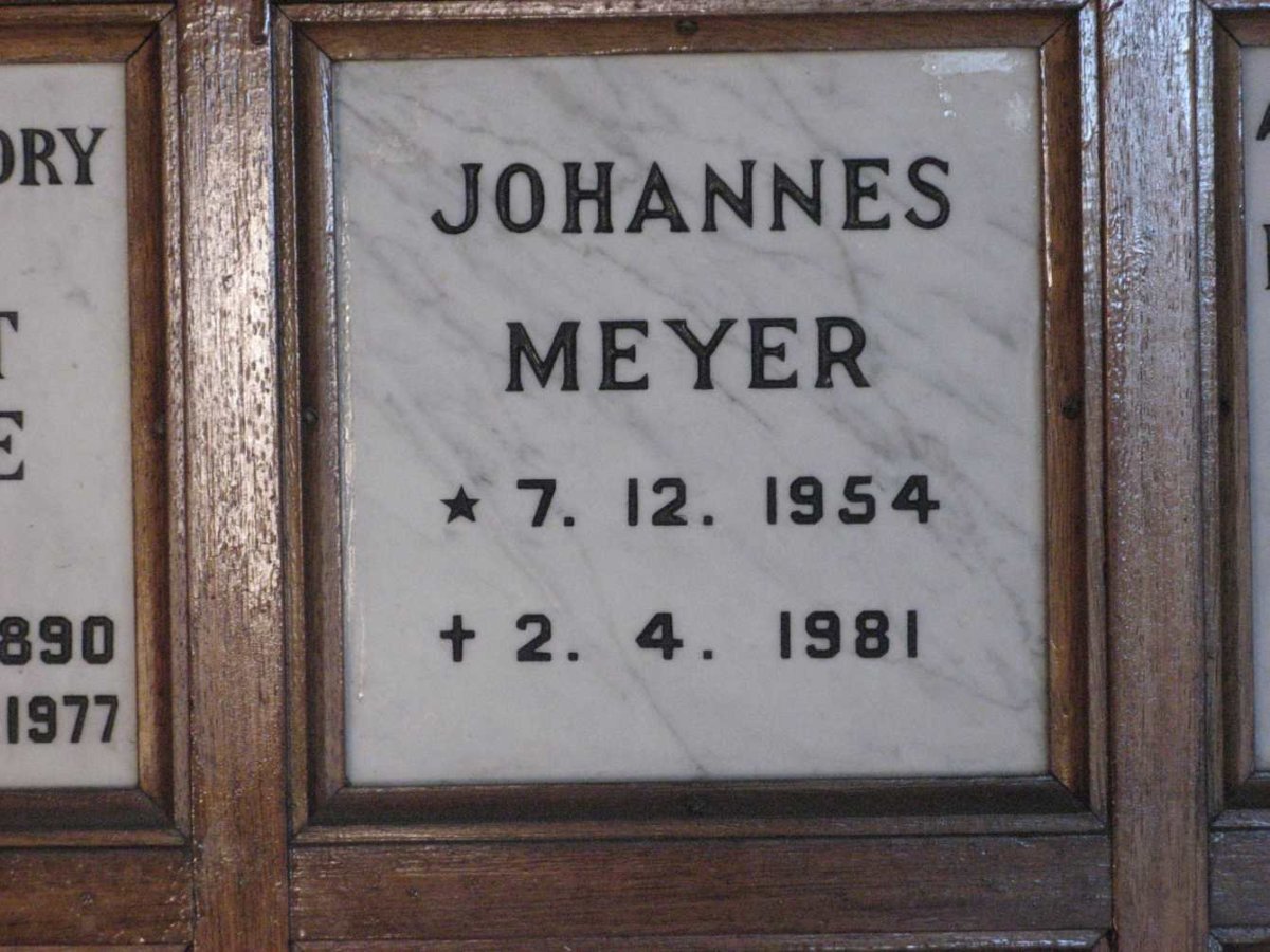 MEYER Johannes 1954-1981