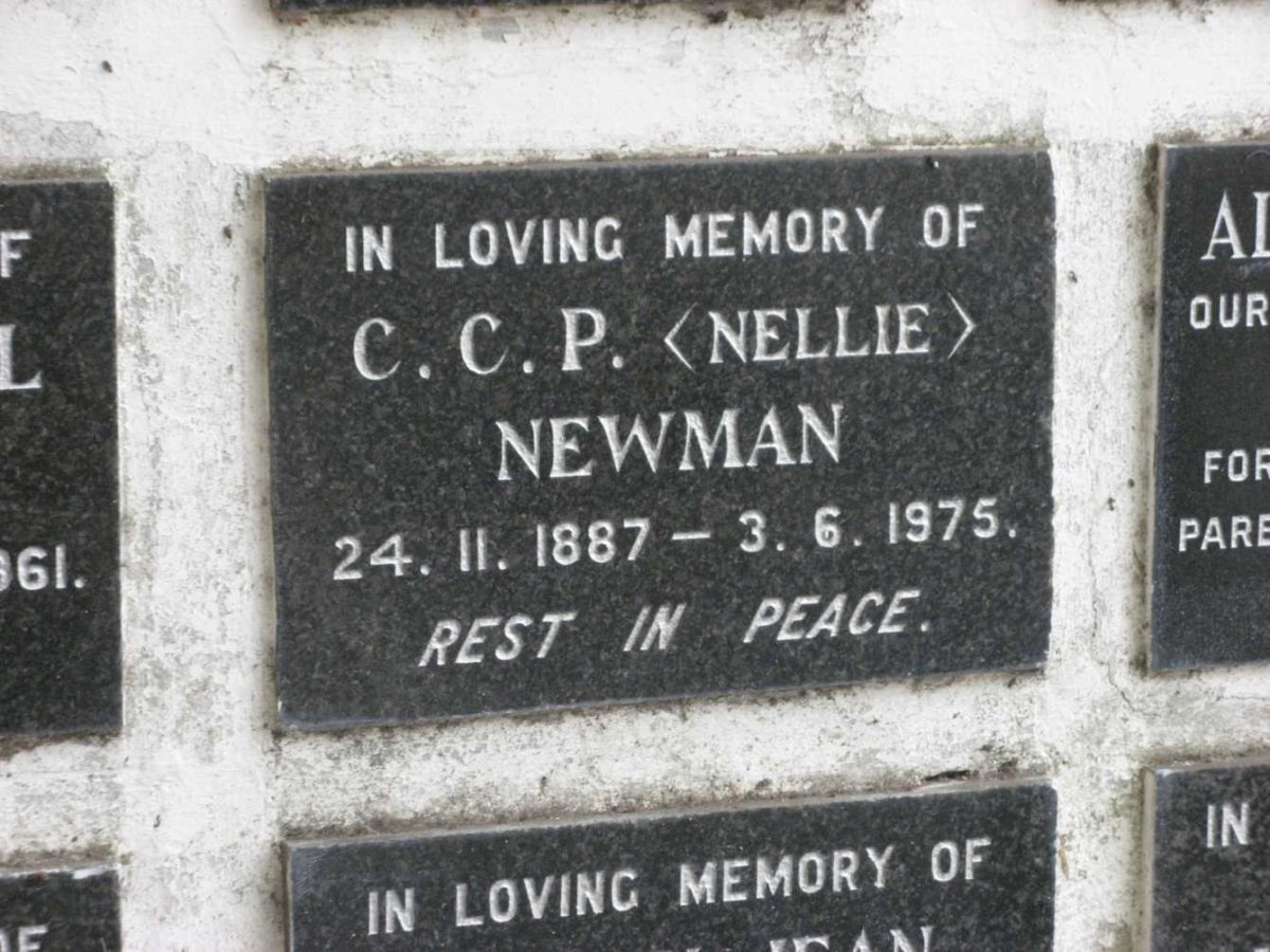 NEWMAN C.C.P. 1887-1975