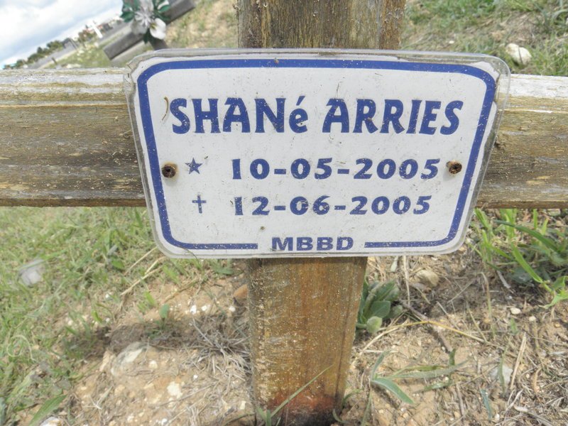 ARRIES Shane 2005-2005