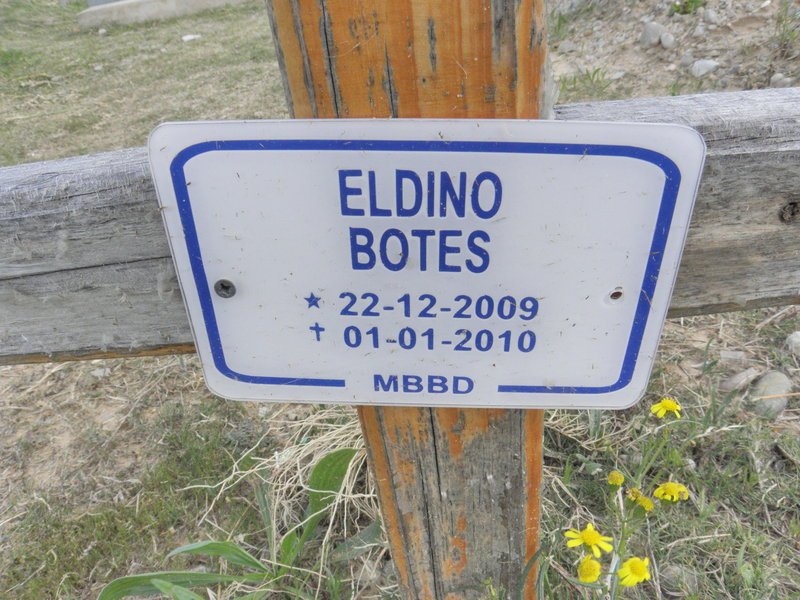 BOTES Eldino 2009-2010