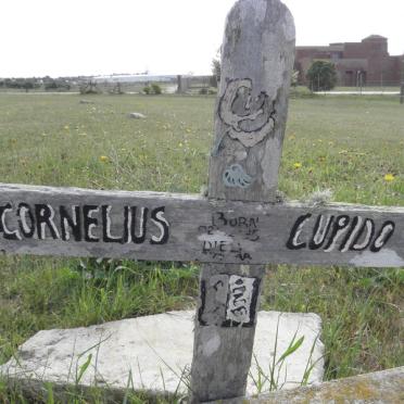 CUPIDO Cornelius ??-??