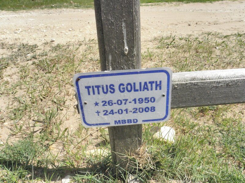 GOLIATH Titus 1950-2008