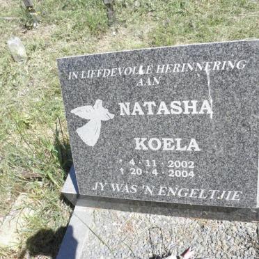 KOELA Natasha 2002-2004