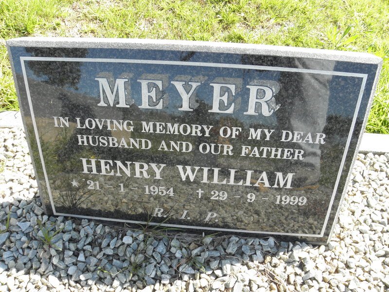 MEYER Henry William 1954-1999