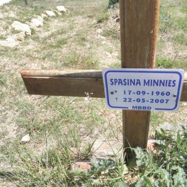 MINNIES Spasina 1960-2007