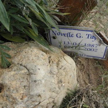 ? TAY? Novelle G. 1987-2002