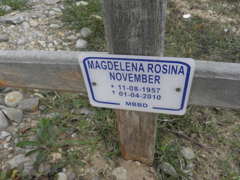 NOVEMBER Magdelena Rosina 1957-2010