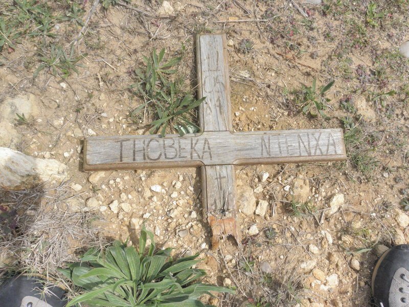 NTENXA Thobeka 