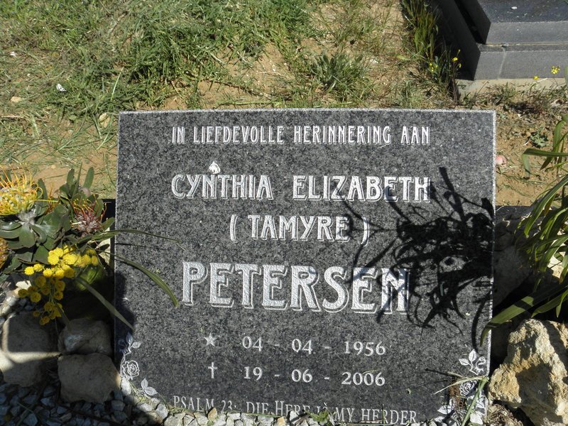 PETERSEN Cynthia Elizabeth 1956-2006