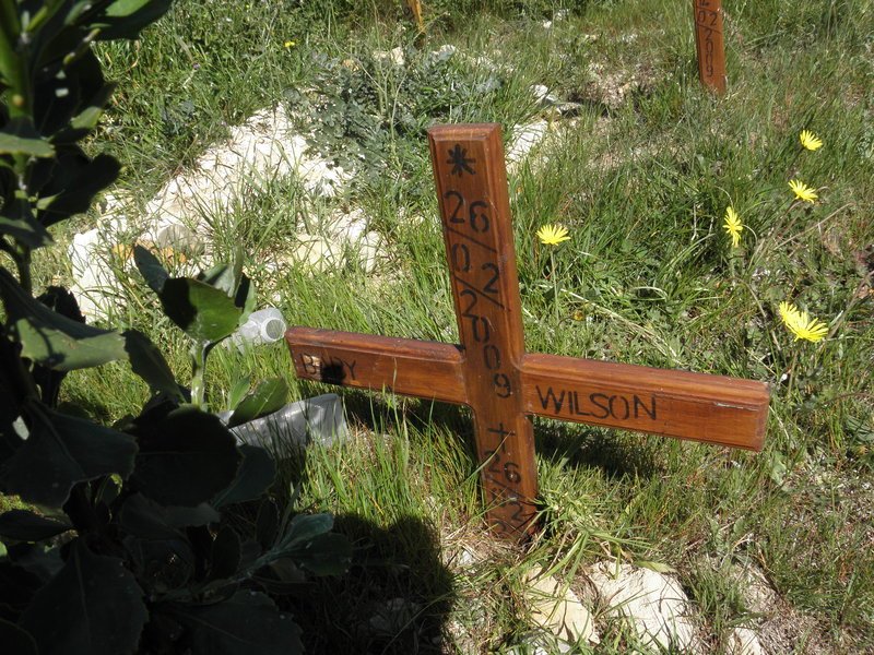 WILSON 2009-200?