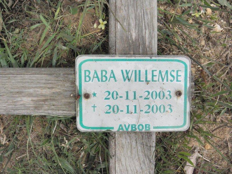 WILLEMSE Baba 2003-2003