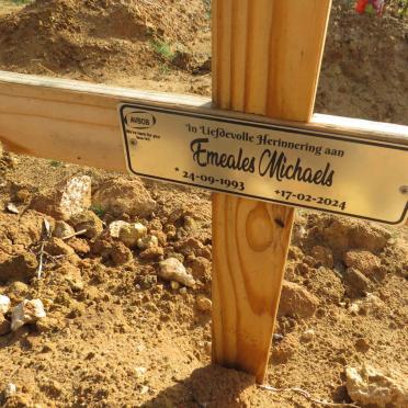 MICHAELS Emeales 1993-2024