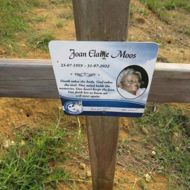 MOOS Joan Elaine 1959-2022
