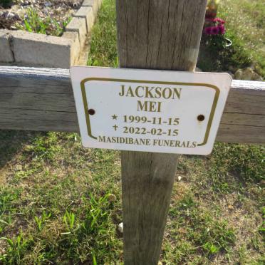 MEI Jackson 1999-2022