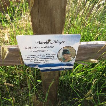 MEYER Harold 1965-2022