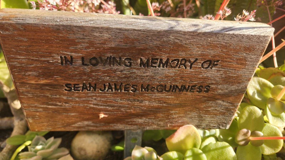MCGUINNESS Sean James