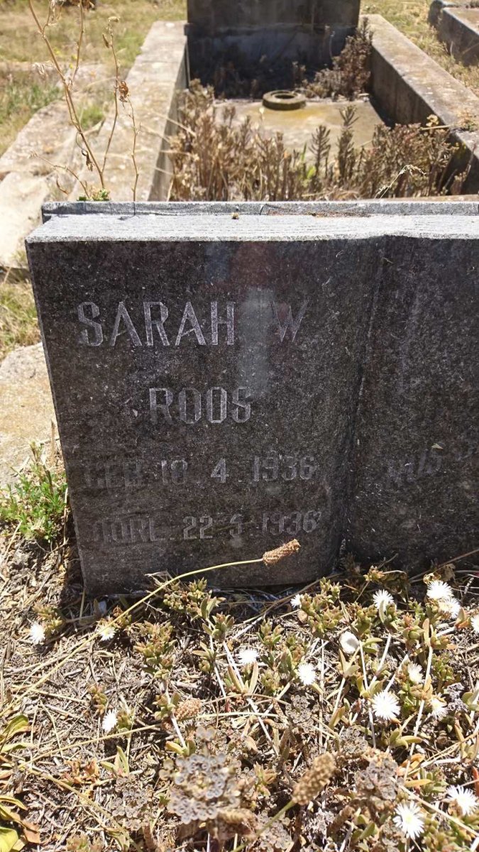 ROOS Sarah W. 1936-1936