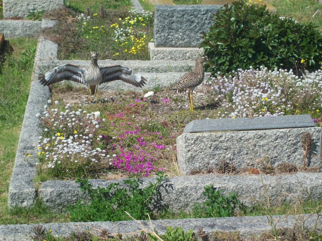 1. In 2008