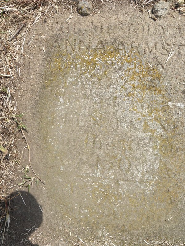 ARMSTRONG Susanna