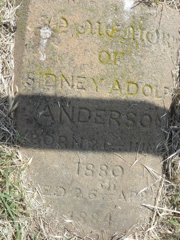 ANDERSON Sidney Adolf 1880-1884