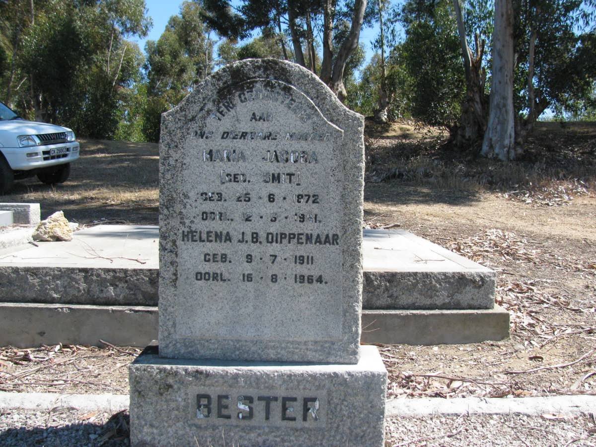 BESTER Anna Jacoba nee SMIT 1872-1961 :: DIPPENAAR Helena J.B. 1911-1964