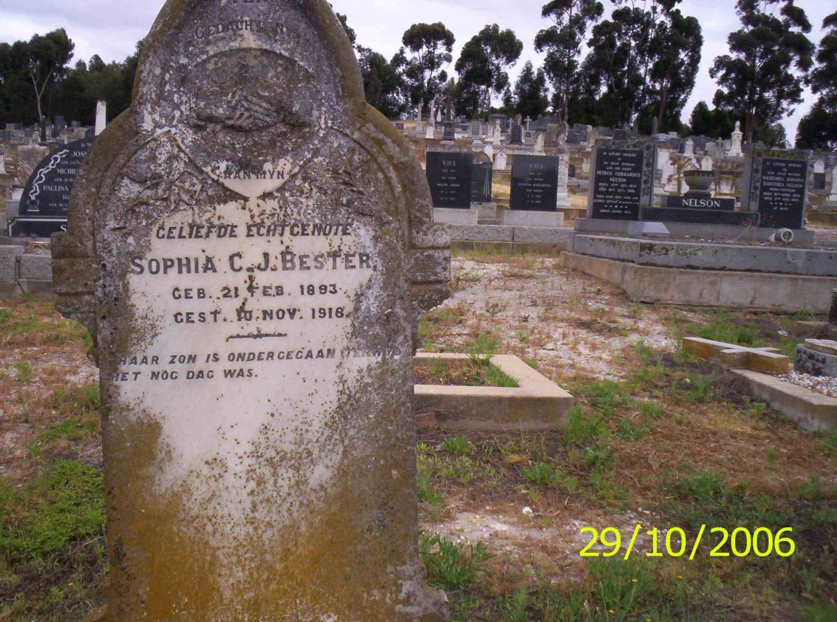 BESTER Sophia C.J. 1893-1918