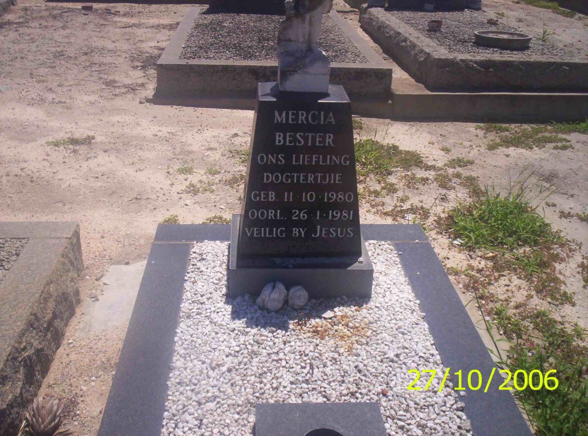 BESTER Mercia 1980-1981