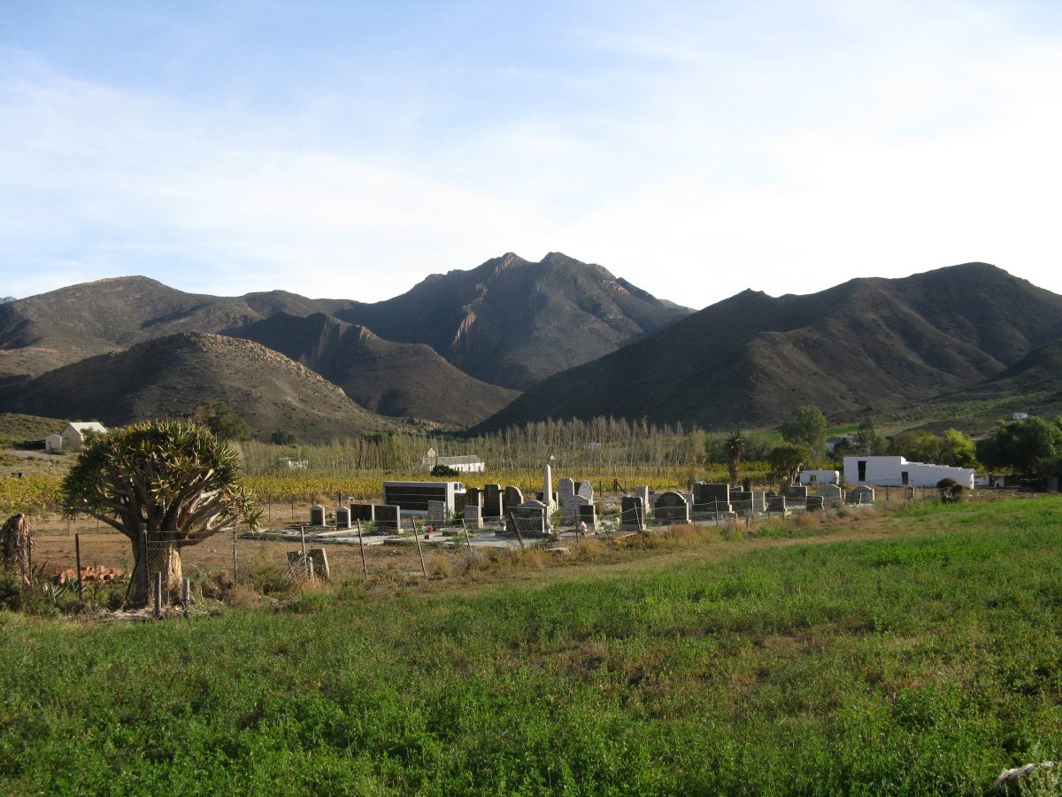 1. Oorsig/Overview