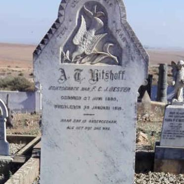 BESTER A.T. nee KITSHOFF 1880-1916