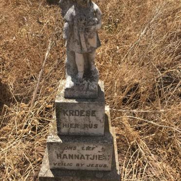 Western Cape, MOORREESBURG district, Somersverdiet 332, farm cemetery _2