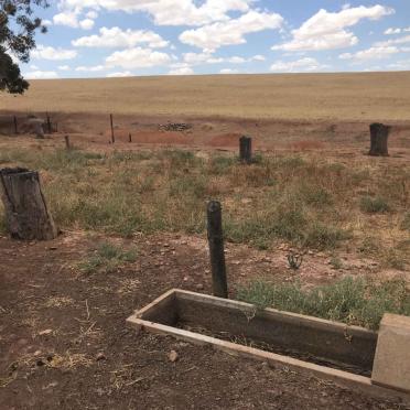 Western Cape, MOORREESBURG district, Somersverdiet 332, farm cemetery _3