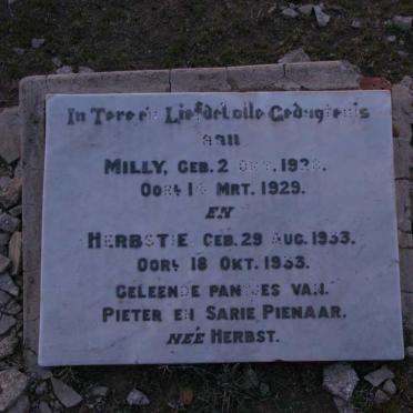 Western Cape, MURRAYSBURG district, Matjeshoek 121, Rooipoort, farm cemetery