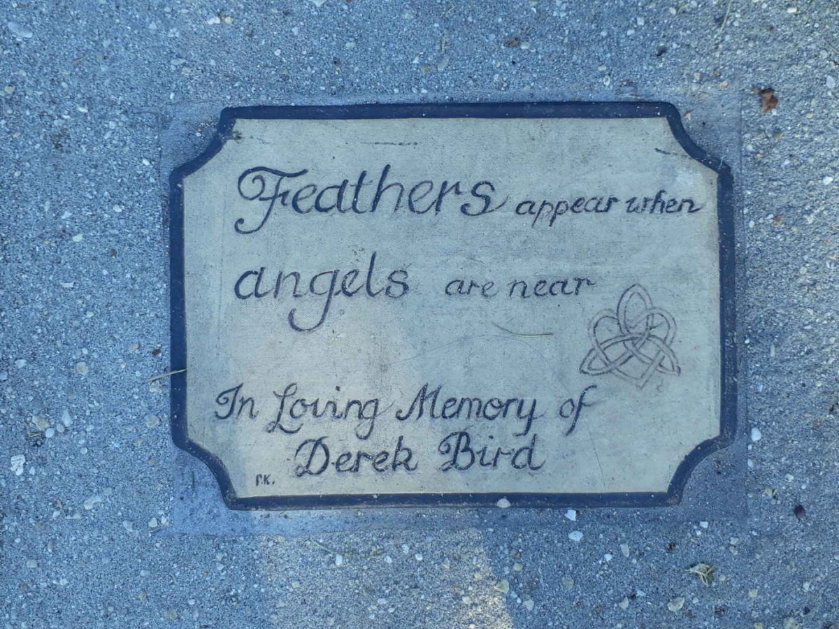 BIRD Derek
