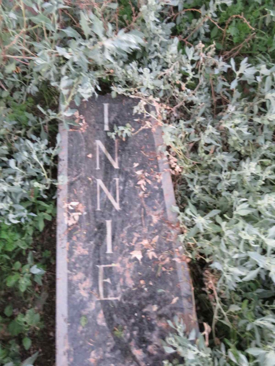 ?INNIE 