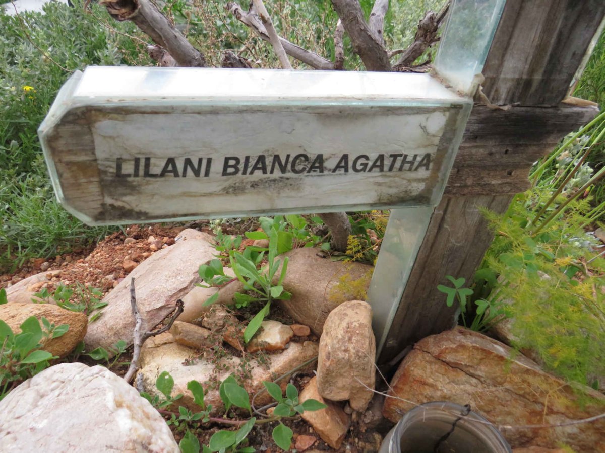 ? Lilani Bianca Agatha 